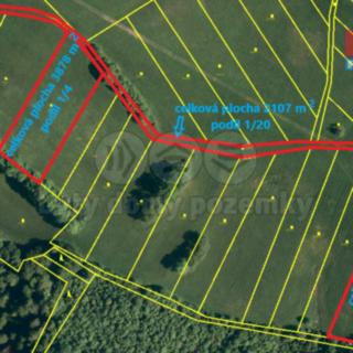 Prodej louky 4 766 m² Štramberk