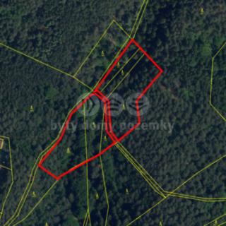 Prodej lesa 5 461 m² Mírová pod Kozákovem Sekerkovy Loučky
