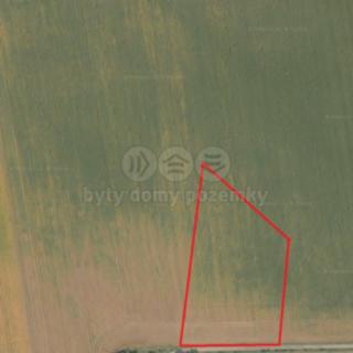 Prodej zemědělské půdy 12 474 m² Bečváry Červený Hrádek