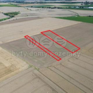 Prodej zemědělské půdy 5 354 m² Kouřim