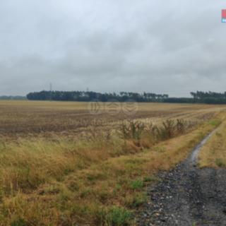 Prodej zemědělské půdy 12 454 m² Veletov