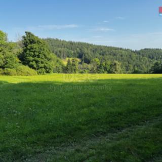Prodej louky 7 880 m² Kořenov Rejdice