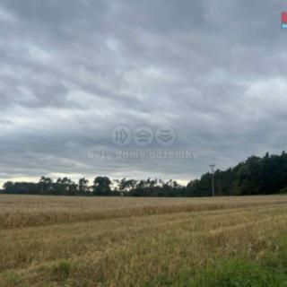 Prodej lesa 4 321 m² Tři Dvory