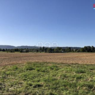Prodej zemědělské půdy 1575 m² Hranice