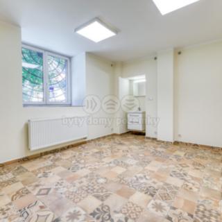 Pronájem obchodu 18 m² Klatovy IV, Tyršova