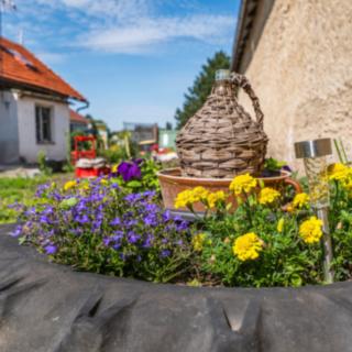 Prodej rodinného domu 75 m² Chrást