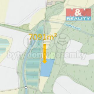 Prodej zemědělské půdy 7091 m² Hrabětice