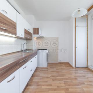 Prodej bytu 1+1 47 m² Brno