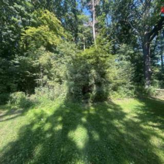 Prodej lesa 4812 m² Vysoká Pec