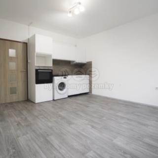 Pronájem bytu 2+kk 43 m² Teplice Nová Ves, Habrová