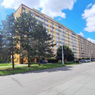 Prodej bytu 3+1 63 m² Hradec Králové Slezské Předměstí, Severní
