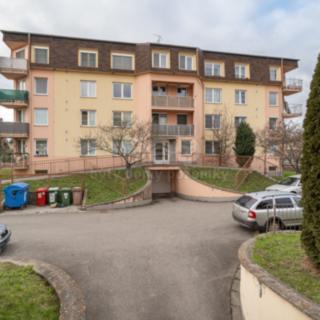 Pronájem bytu 1+kk a garsoniéry 38 m² Olomouc Povel, Slavonínská