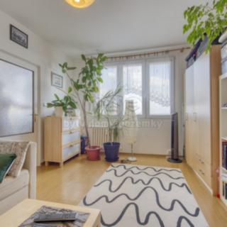 Pronájem bytu 1+1 36 m² Plzeň