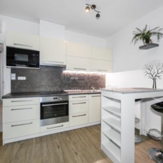 Prodej bytu 1+kk a garsoniéry 47 m² Plzeň Severní Předměstí, alej Svobody