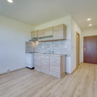 Pronájem bytu 1+1 36 m² Kaznějov, Školní