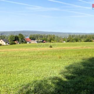 Prodej louky 11513 m² Škrdlovice