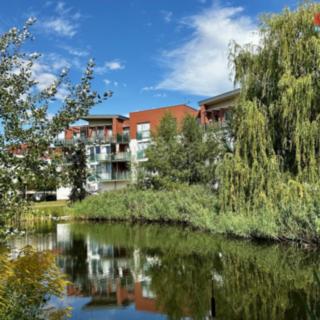 Pronájem bytu 1+kk a garsoniéry 39 m² Hradec Králové Nový, Rybova