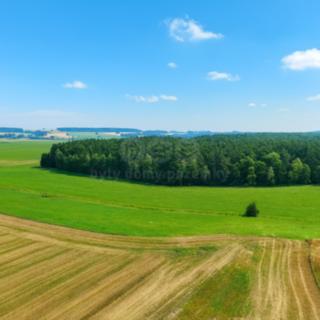 Prodej louky 8 286 m² Komárov
