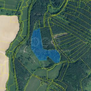 Prodej lesa 33931 m² Sušice
