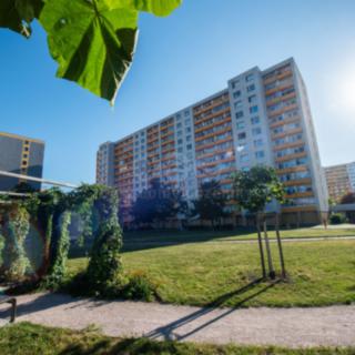 Prodej bytu 1+1 41 m² Hradec Králové