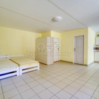 Pronájem bytu 1+1 49 m² Sytno
