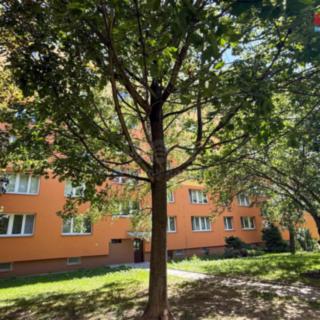 Prodej bytu 2+1 46 m² Ostrava Bělský Les, Vlasty Vlasákové