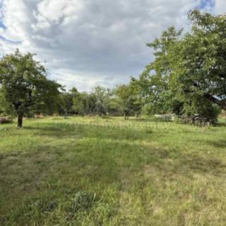 Prodej zahrady 1 198 m² Husinec, Na Kazatelně