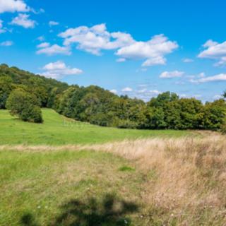 Prodej louky 11426 m² Děčín