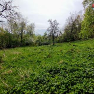 Prodej stavební parcely 2730 m² Jeseník nad Odrou