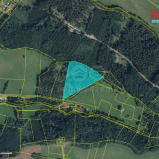 Prodej lesa 15 253 m² Libuň Jivany