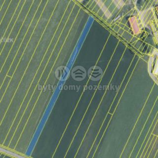 Prodej zemědělské půdy 5 059 m² Lažánky