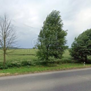Prodej komerčního pozemku 9485 m² Budyně nad Ohří