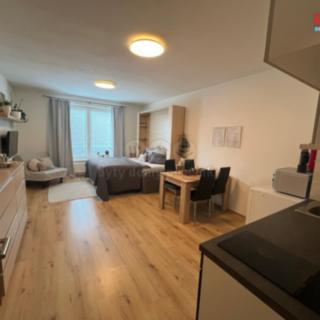 Pronájem bytu 1+kk a garsoniéry 32 m² Plzeň Valcha, Špačková