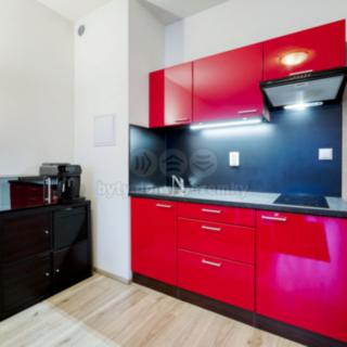 Pronájem bytu 1+kk a garsoniéry 33 m² Plzeň Valcha, Špačková