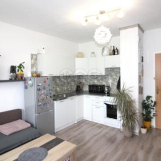 Pronájem bytu 1+1 43 m² Cvikov II, Sídliště
