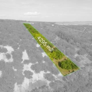 Prodej zemědělské půdy 4 295 m² Židlochovice