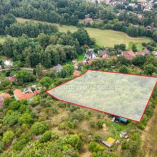 Prodej zemědělské půdy 4 689 m² Krušovice, Na Stráni