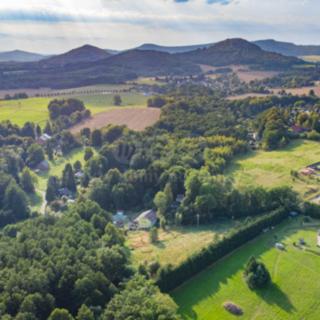 Prodej louky 5 500 m² Nový Bor Janov
