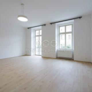 Pronájem bytu 1+kk a garsoniéry 55 m² Plzeň Jižní Předměstí, Americká