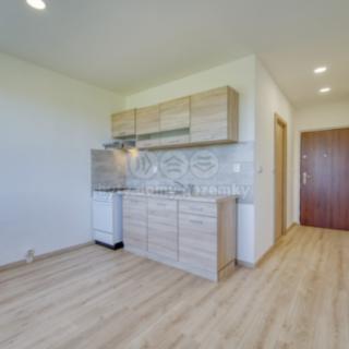 Pronájem bytu 1+1 36 m² Kaznějov, Školní
