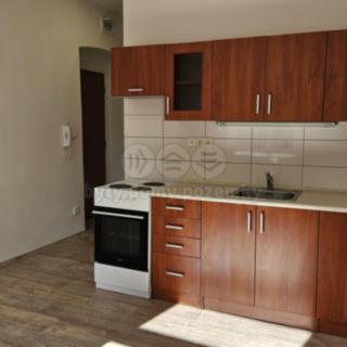 Pronájem bytu 1+kk a garsoniéry 20 m² Plzeň Východní Předměstí, Úslavská