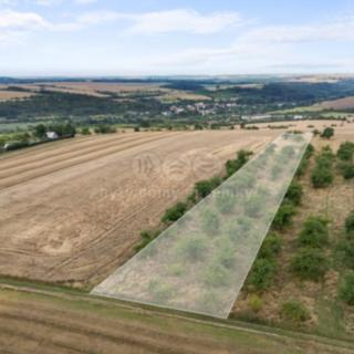 Prodej zemědělské půdy 5202 m² Kralupy nad Vltavou