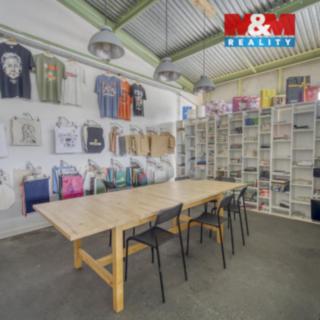 Pronájem skladu 288 m² Plzeň