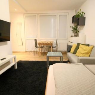 Pronájem bytu 1+kk a garsoniéry 28 m² Hradec Králové Pražské Předměstí, Hrubínova