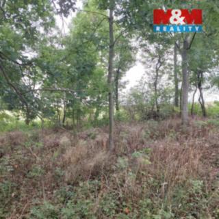 Prodej zemědělské půdy 163 m² Bystřice