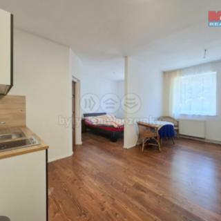 Pronájem bytu 1+1 35 m² Královské Poříčí, Dlouhá