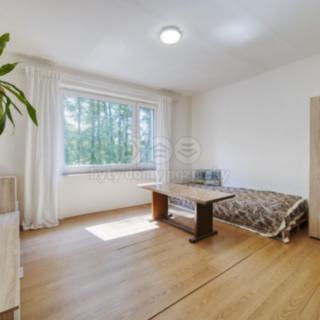 Pronájem bytu 1+kk a garsoniéry 21 m² Praskolesy