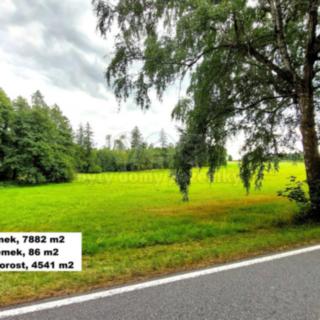 Prodej lesa 21303 m² Štoky
