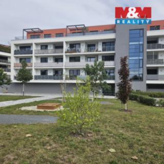 Pronájem bytu 1+kk a garsoniéry 38 m² Olomouc, Lazecká