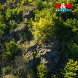 Prodej lesa 7450 m² Lomnice